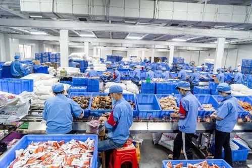 好家伙，年薪50萬聞廁所？網絡技術服務中的那些“奇奇怪怪”的職業